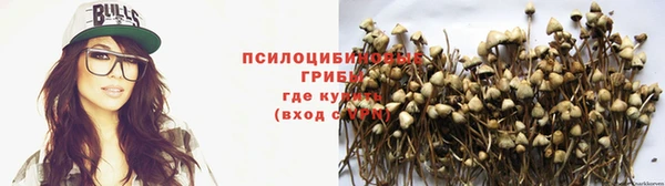 мдма Богданович