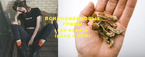 MDMA Богородицк