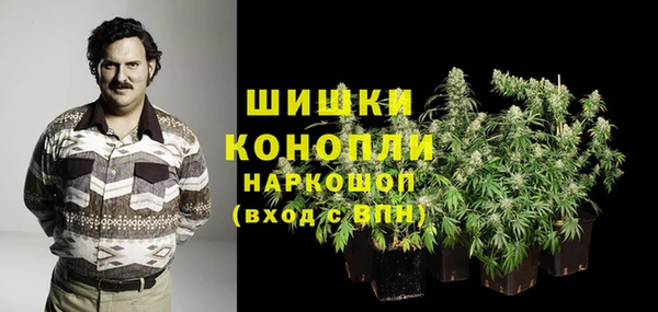 MDMA Богородицк
