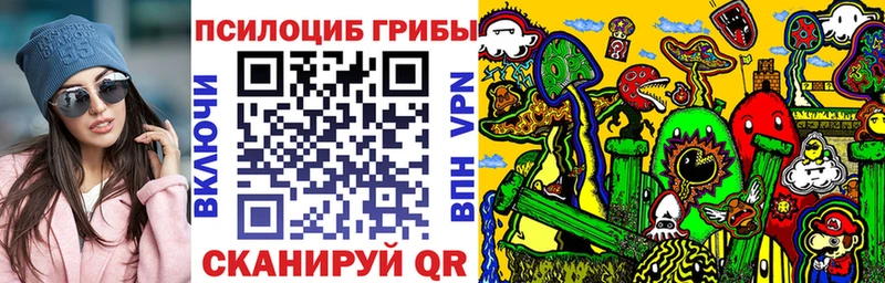 Купить  Белорецк  Псилоцибиновые грибы GOLDEN TEACHER 