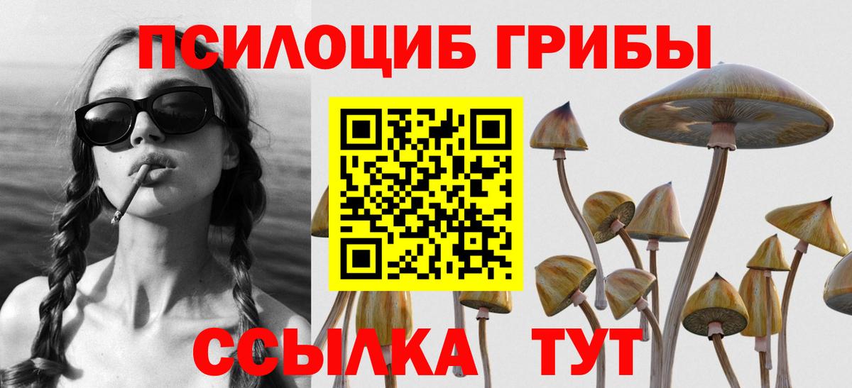 где продают   Псилоцибиновые грибы мухоморы  Белорецк  Галлюциногенные грибы мицелий 